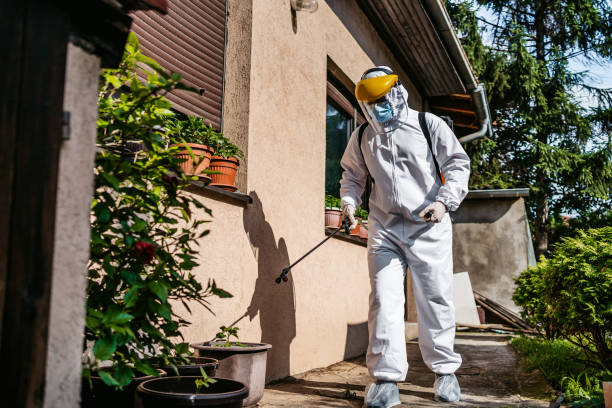 Best Flea Control Services  in Post, TX